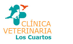(c) Clinicaveterinarialoscuartos.net